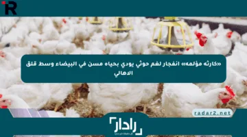 «كارثة مؤلمة» انفجار لغم حوثي يودي بحياة مسن في البيضاء وسط قلق الأهالي